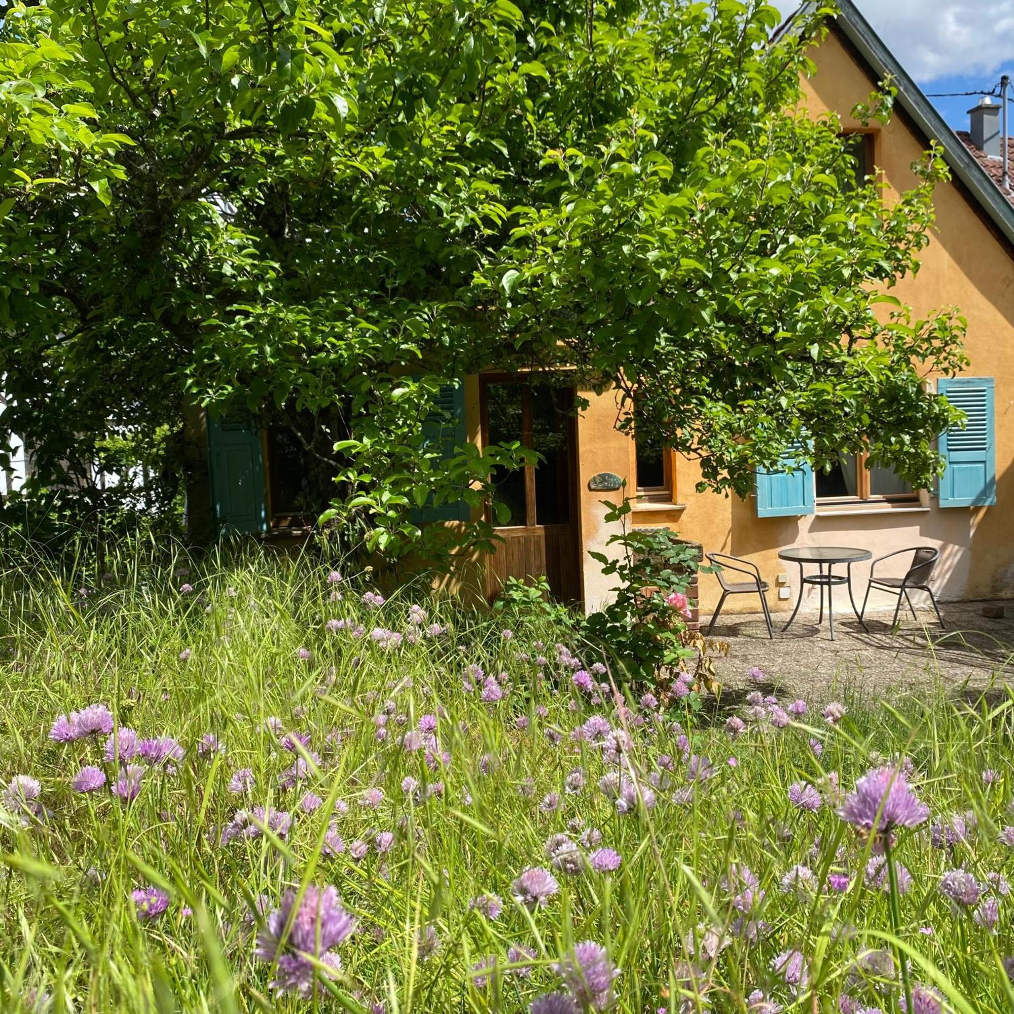 Ecologis Du Vignoble Villa Katzenthal Buitenkant foto