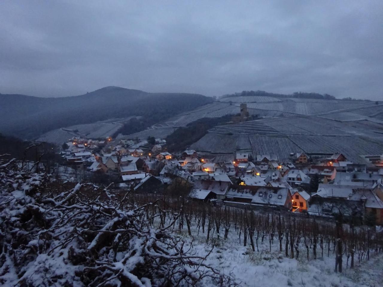 Ecologis Du Vignoble Villa Katzenthal Buitenkant foto