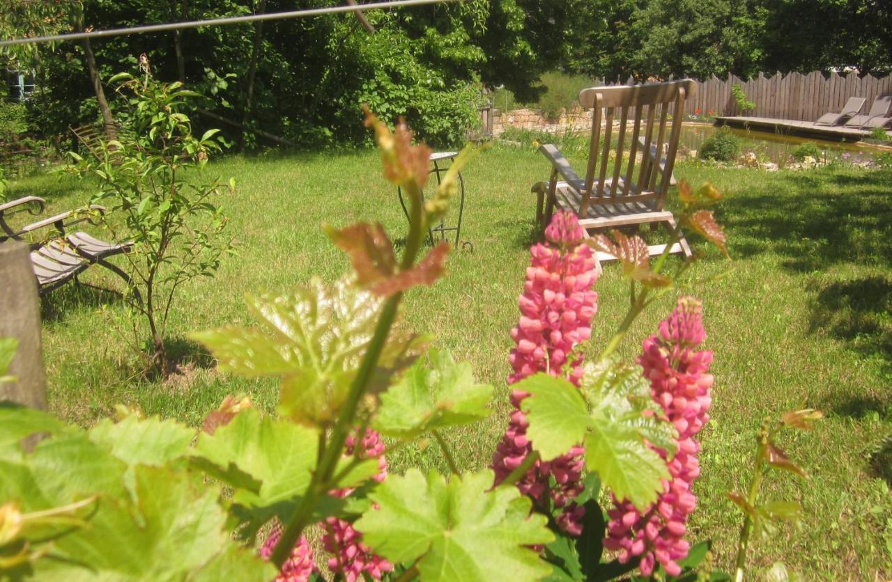 Ecologis Du Vignoble Villa Katzenthal Buitenkant foto