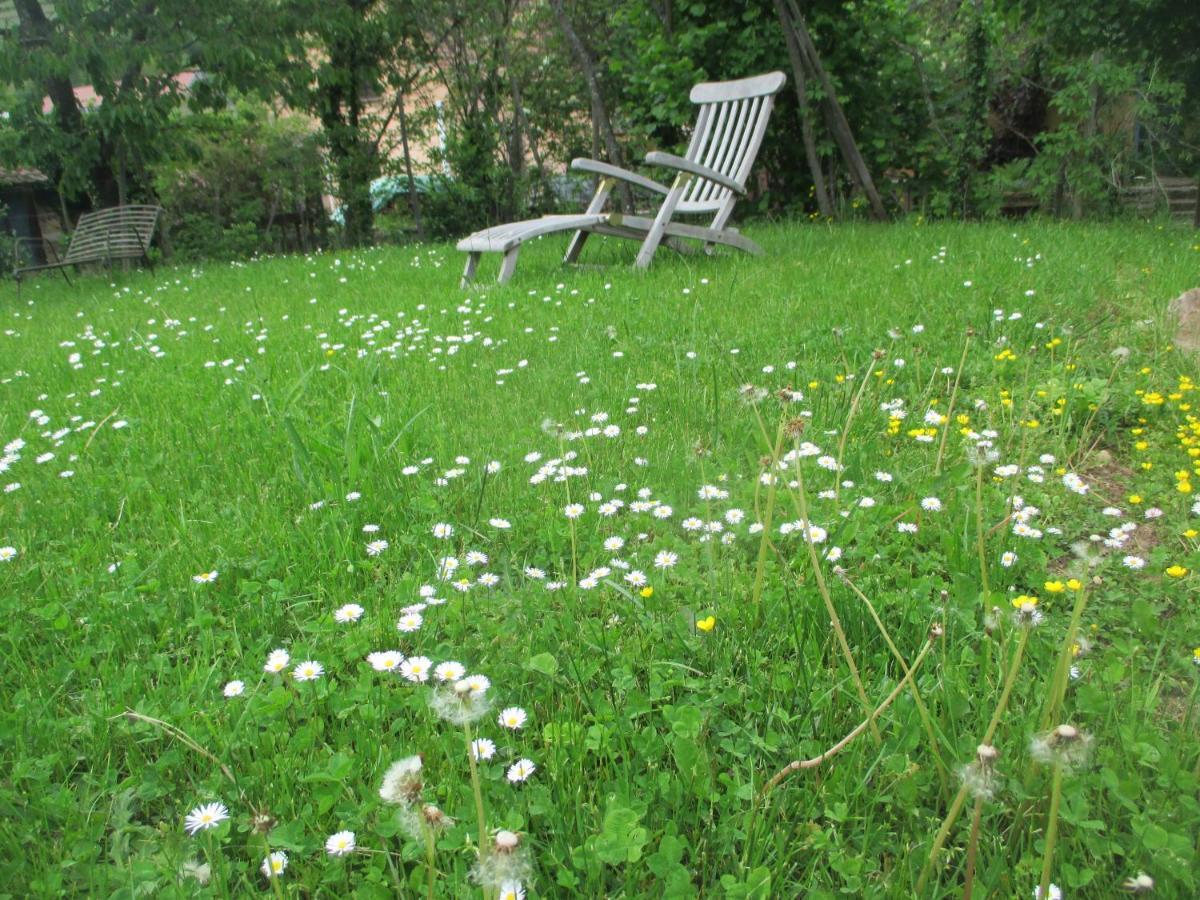 Ecologis Du Vignoble Villa Katzenthal Buitenkant foto